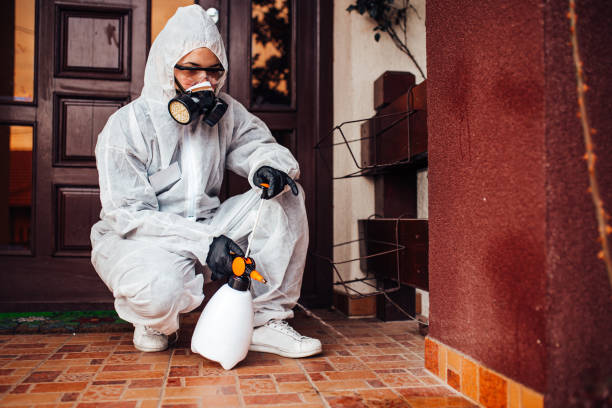 Reliable Cockroach Control contractor in Sapulpa, OK by Nex Pest Control