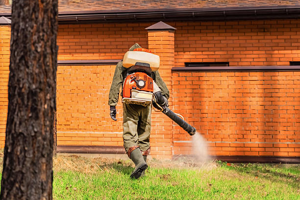 Trusted Termite Control service in Sapulpa, OK - Nex Pest Control